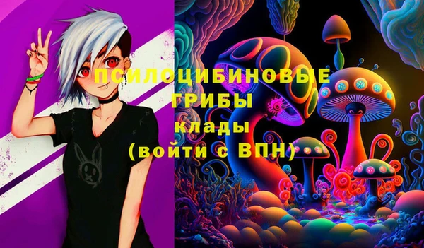 меф Медвежьегорск