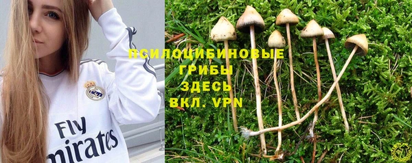 2c-b Мегион