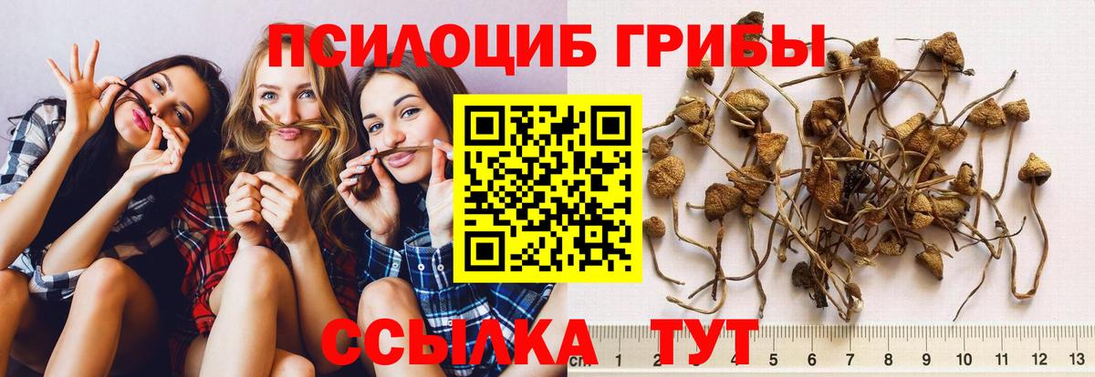 Галлюциногенные грибы ЛСД  Псилоцибиновые грибы MAGIC MUSHROOMS  Назрань  Вход с VPN 