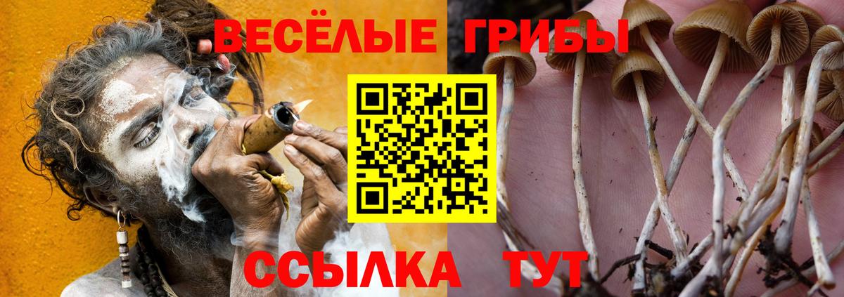 Каннабис  НБОМе  Кокаин  Меф кристаллы  ГАШИШ  Сколько стоит  Вход с VPN  ТГК  Назрань  ЭКСТАЗИ  APVP СК  